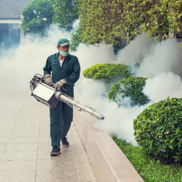Mosquito fogging treatment in a residential complex