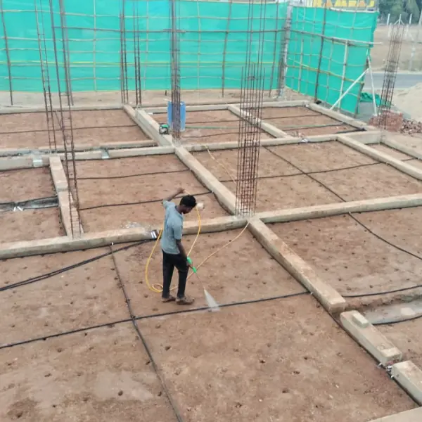 Anti-termite treatment
