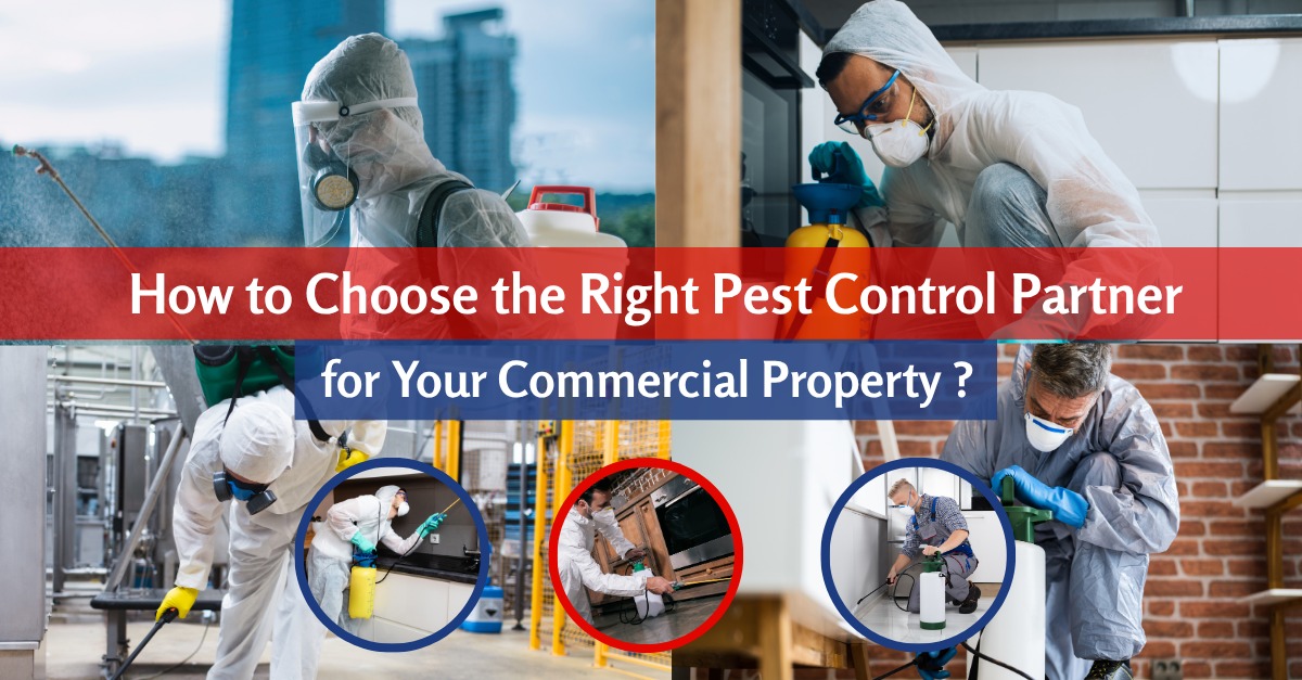 How to Choose the Right Pest Control Partner for Your Commercial Property